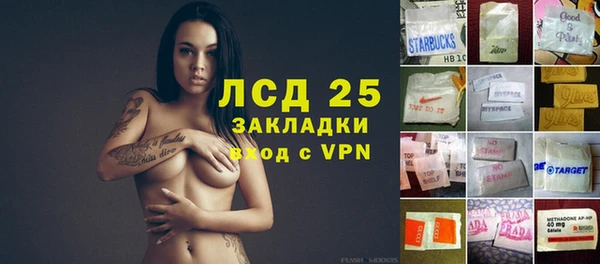эйфоретик Алзамай